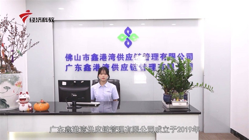创新广东 寻访行业先锋——广东鑫港湾供应链管理闪耀供应链服务赛道